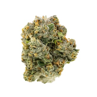 Royal Durban by Terrapin