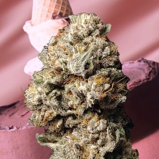 Ice Cream Cake Bx1 by Trichome Extracts
