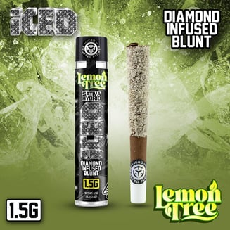 ICED — Lemon Tree