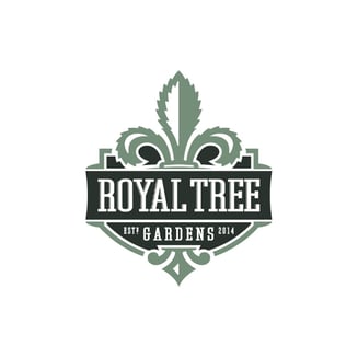 A La Mode [1g] by Royal Tree Gardens
