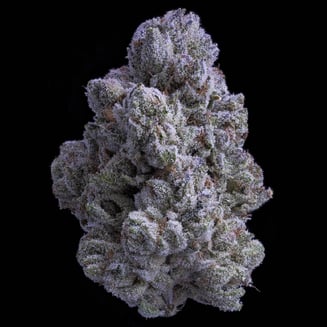 Sticky Status: Snow White