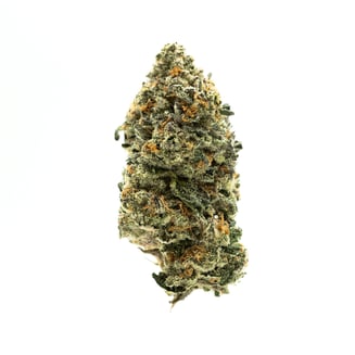 AGL 7g White Durban (S) 00787 by Advanced Grow Labs (AGL)