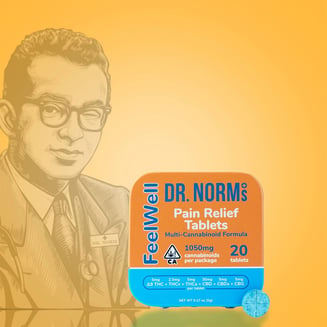 DR. NORM'S — Feelwell Pain Relief