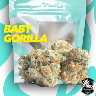 Baby Gorilla by Soft Serve