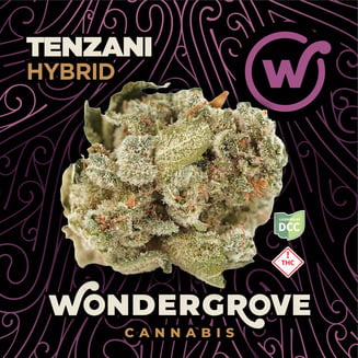 Tenzani [14.15g] by Wondergrove