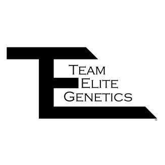 Team Elite Genetics — Watermelon Taffy