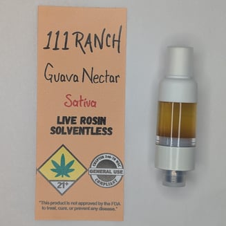 Guava Nectar