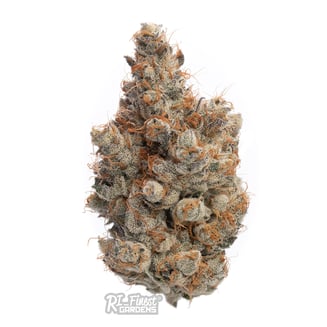 Billy Idle by RI Finest Gardens