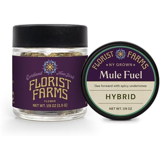 Mule Fuel | Hybrid by Florist Farms