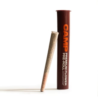 Zap Pack [1g] by CAMP