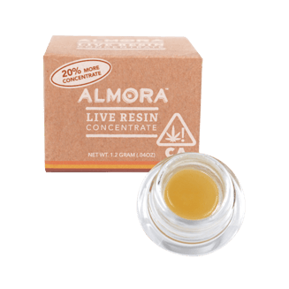 ALMORA: Gelato 41