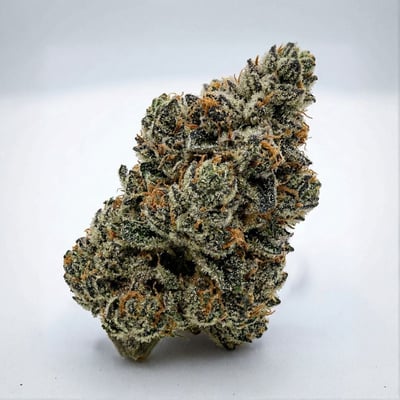 Image 1 for Black Amber, a hybrid product