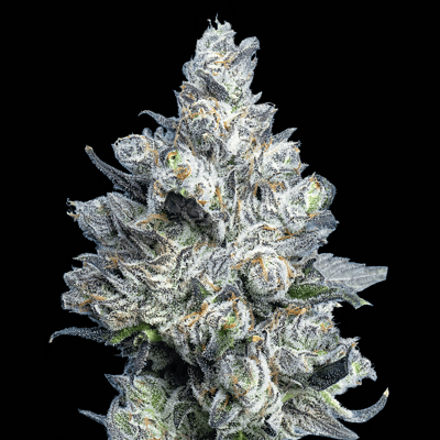 Image 7 for Apples & Diamonds [3.5g], a indica product