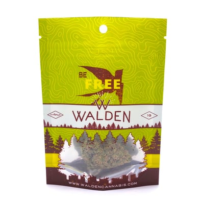 Shop Alien Tangie | Buds Garage - Everett Dispensary Everett, WA