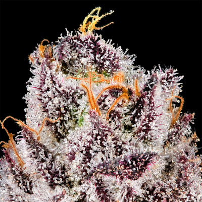 Image 7 for 98 Reserve All-In-One Gold Blend [1000mg], a indica product