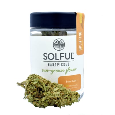 Shop Swazi Gold | Solful - Healdsburg Dispensary Healdsburg, CA