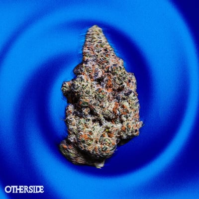 Shop Platinum Cake | River Bluff Cannabis Dispensary Roselle, IL