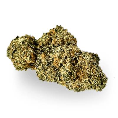 Shop Sweet Afghan Delicious (SAF) | Vireo Health - Albany