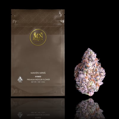 Shangri-La [3.5g] | Maven | Flower 