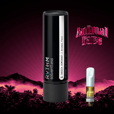 rythm vape pen price Rythm Vape Pens: Elevate Your Vape Game at Our NJ Weed Store