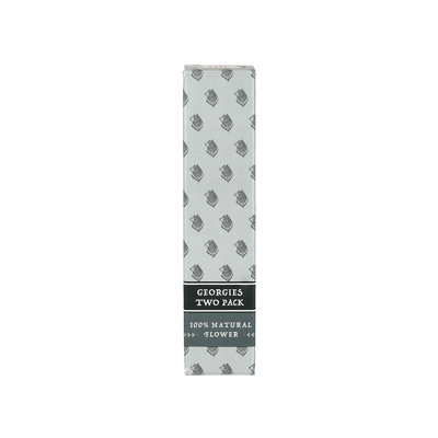 Shop Spruce Goose [2 Pack] [.5g] | Trilogy Wellness of Maryland