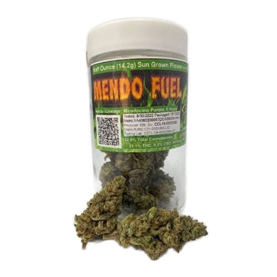 Image 6 for Mendo Fuel, a hybrid product