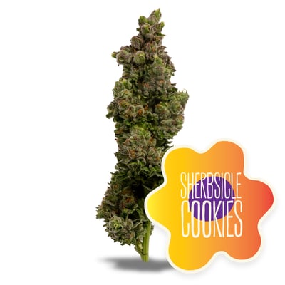 Image 1 for Sherbsicle Cookies, a hybrid product