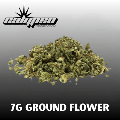 elfbar elfa kaufen Calypso Island Wave Lemonade 16FlOz