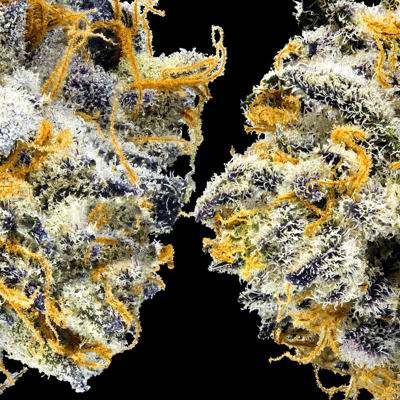 Image 5 for Blue Agapē Pre-Roll 5-Pack [2.5g], a indica product