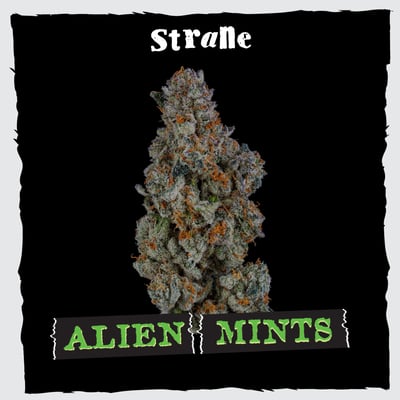Shop Alien Mints | Trilogy Wellness of Maryland (Med) Dispensary