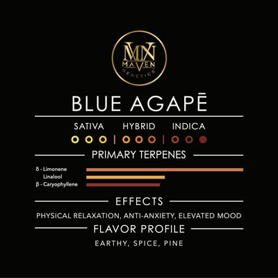 Blue Agapē [3.5g] | Maven | Flower