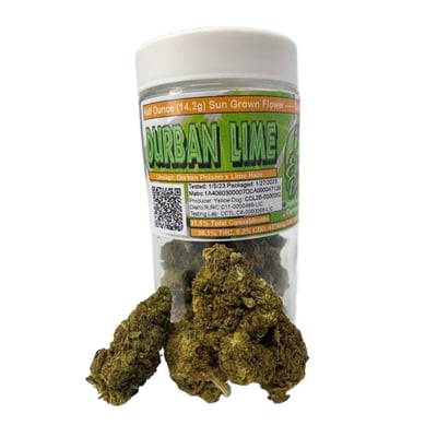 Image 5 for Durban Lime, a sativa product Image 5 for Durban Lime, a sativa product