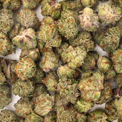 Image 5 for Garlic Oz, a indica product Image 5 for Garlic Oz, a indica product