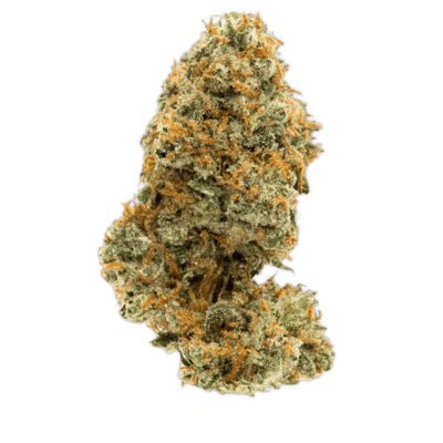 Ghost Train Haze (GTH) (Small Bud) | Vireo | Small Bud