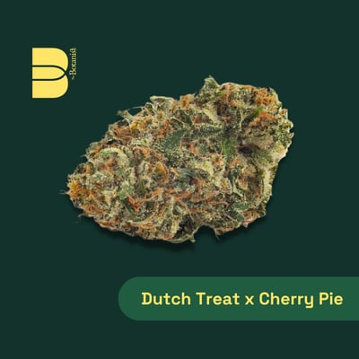 Shop Dutch Treat x Cherry Pie | The Dispensary - Champaign