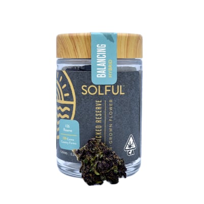 Shop #26 Reserve (AKA Ocimene Queen) | Solful - Petaluma