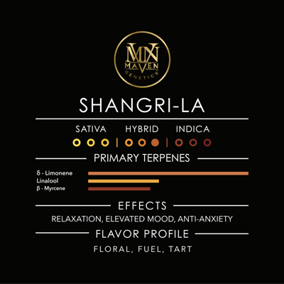Shangri-La [3.5g] | Maven | Flower 