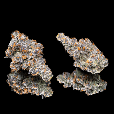 Image 6 for Orange Sapphire Gold Blend, a sativa product Image 6 for Orange Sapphire Gold Blend, a sativa product