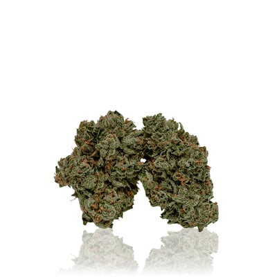 Shop Headline | FLUENT - New Port Richey Dispensary New Port