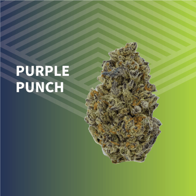 Shop Purple Punch | Strive Life Dispensary Grand Forks, ND