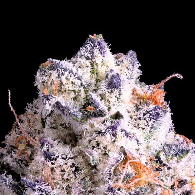 Turlock Cannabis Dispensary | Buy Weed Online Now | NHC