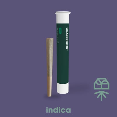 grassroots disposable vape pen Shop Indica Princess [1g] | The Dispensary
