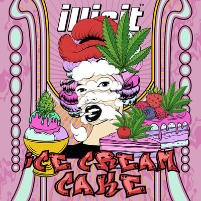 Image 5 for Ice Cream Cake, a indica product Image 5 for Ice Cream Cake, a indica product