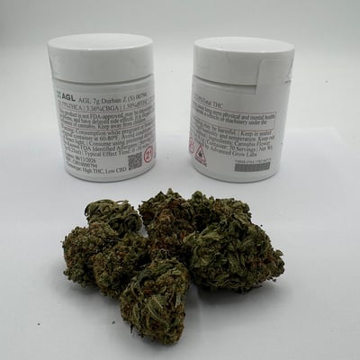 Shop AGL Durban Z 22.35% S 00794 | Venu Flower Collective