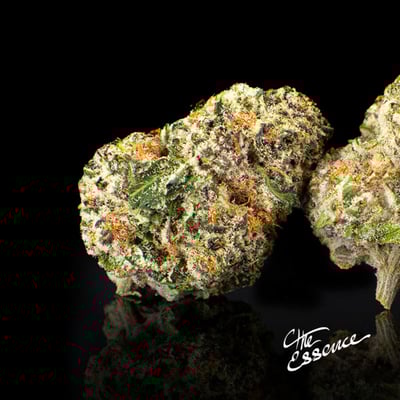 Image 2 for Grape Bubblegum, a hybrid product Image 2 for Grape Bubblegum, a hybrid product