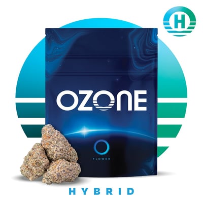 Shop Jokerz Candy #5 | The Dispensary - Champaign Champaign, IL