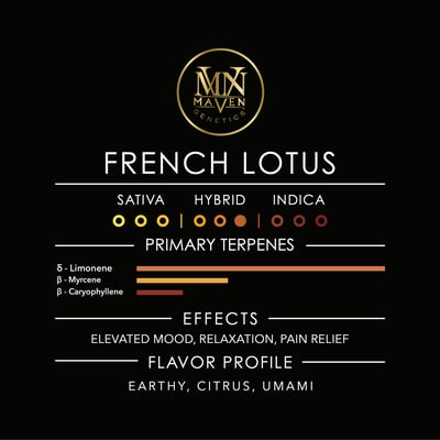 Image 11 for French Lotus [3.5g], a hybrid product