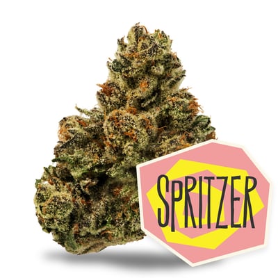 Image 2 for Spritzer, a sativa product