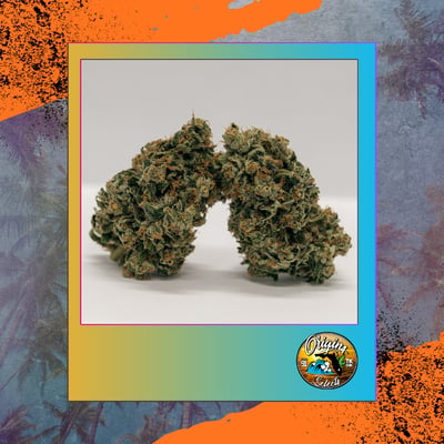 Shop Origins Tahiti Twist | FLUENT