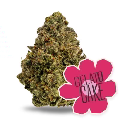 Image 2 for Gelato Cake, a hybrid product